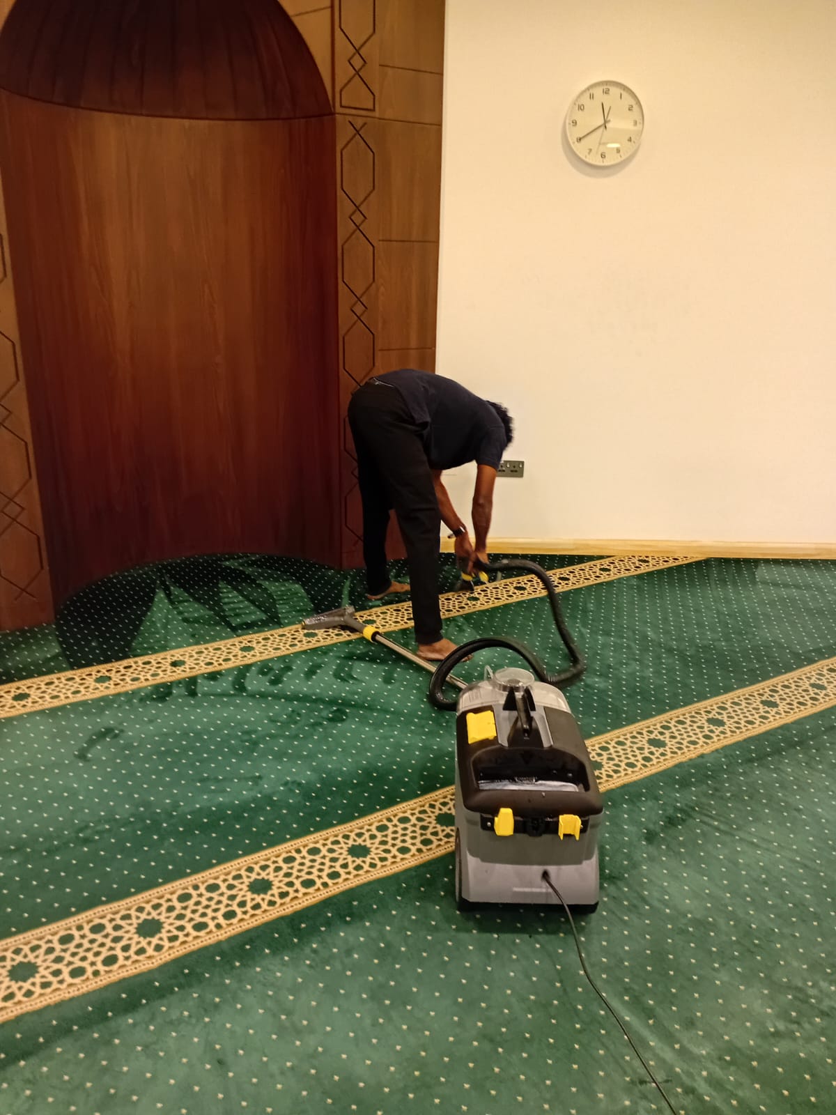 Carpet Shampooing